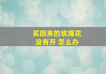 买回来的玫瑰花没有开 怎么办